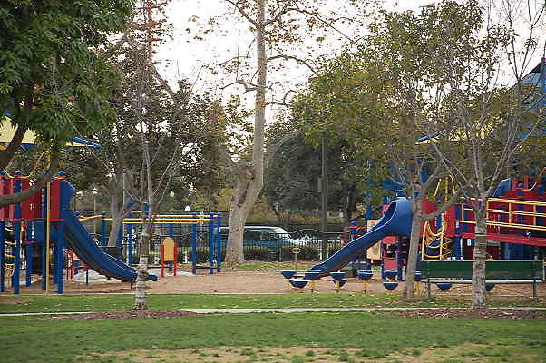 DSC 0385