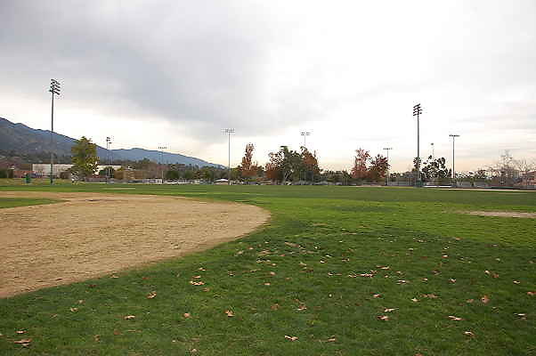 DSC 0340