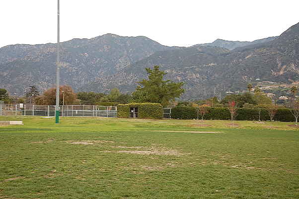 DSC 0354