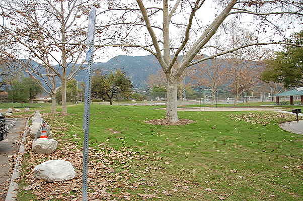 DSC 0329
