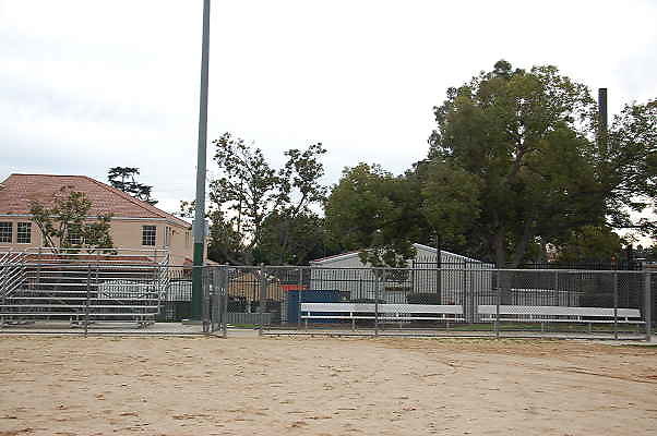 DSC 0365