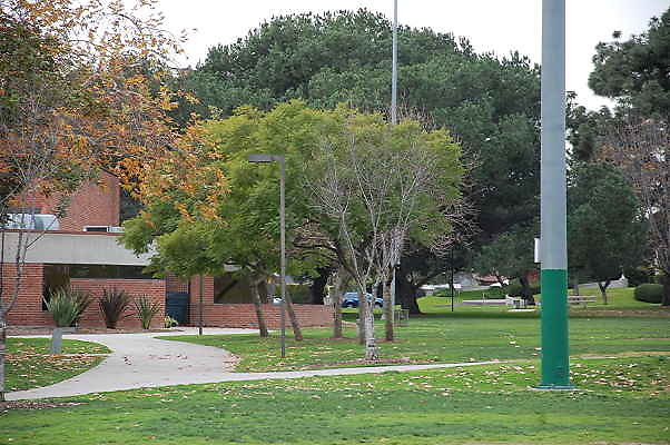 DSC 0389