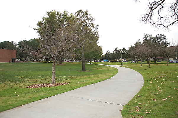 DSC 0338