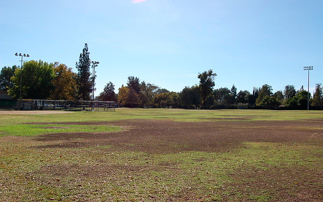 DSC 0264