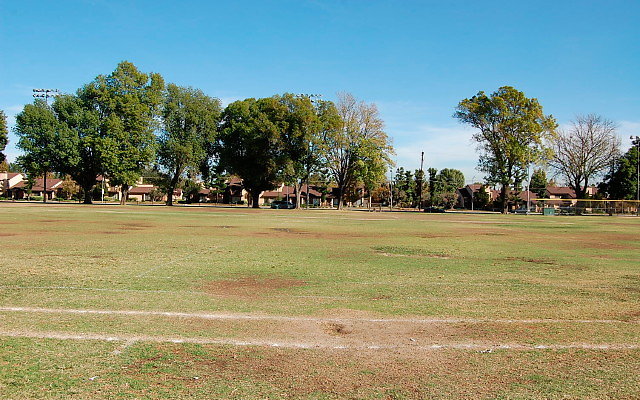 DSC 0272