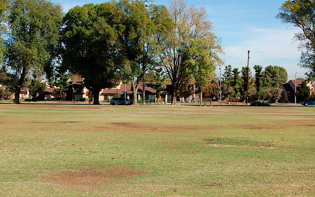 DSC 0275