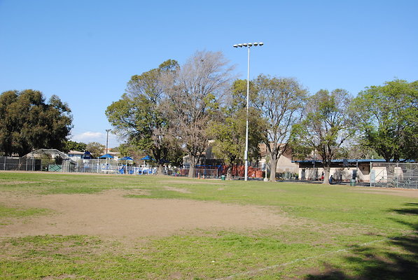 DSC 0100