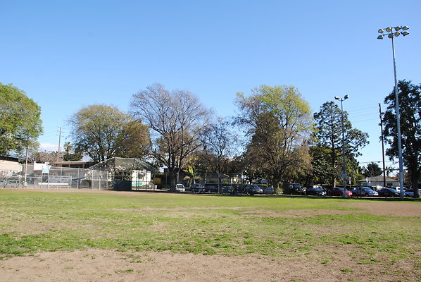 DSC 0118