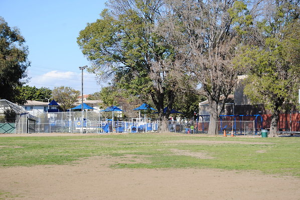 DSC 0105
