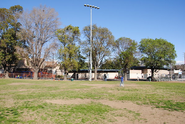 DSC 0117