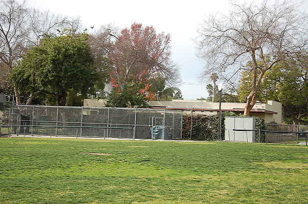 DSC 0006
