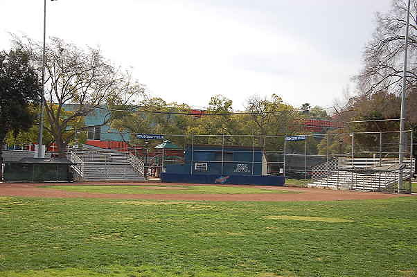 DSC 0005