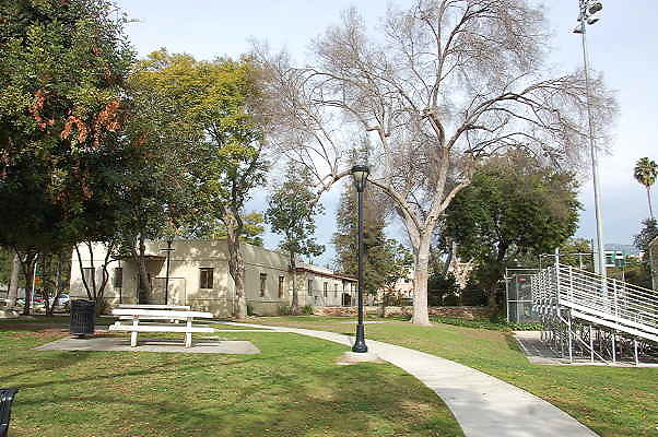 DSC 0010