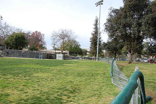 DSC 0009