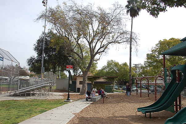 DSC 0012