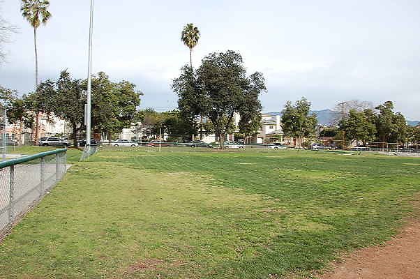 DSC 0017