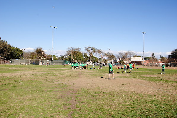 DSC 0138