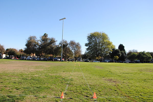 DSC 0141