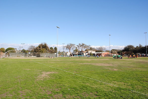 DSC 0123
