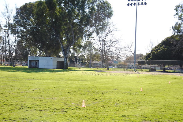 DSC 0132