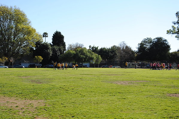 DSC 0130