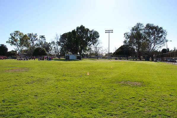 DSC 0125