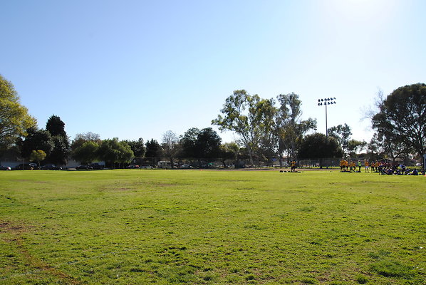 DSC 0142