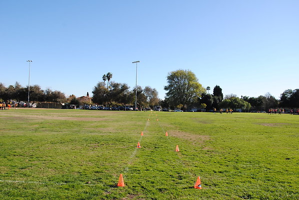 DSC 0124