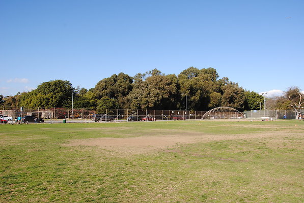 DSC 0137