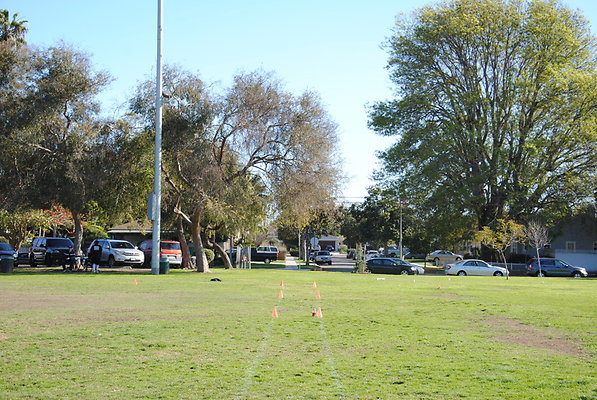 DSC 0154