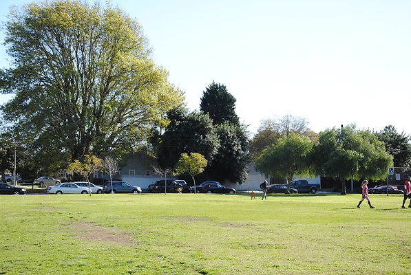 DSC 0155