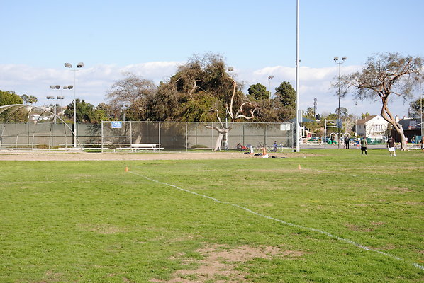 DSC 0126