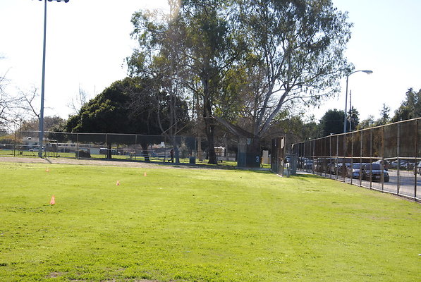 DSC 0133