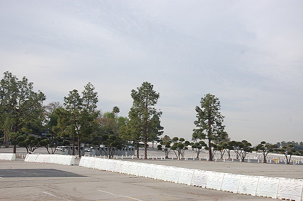 DSC 0046