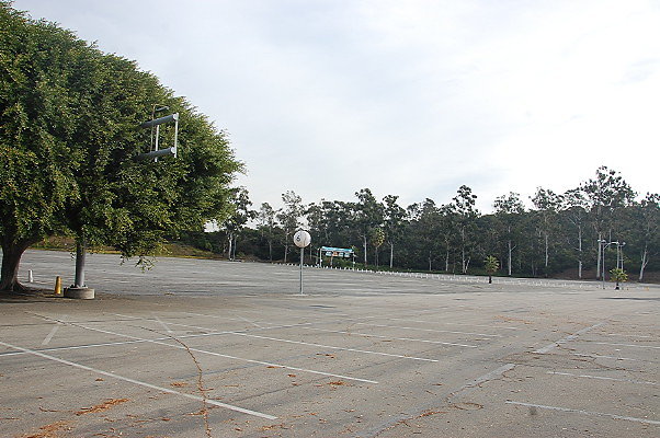 DSC 0040
