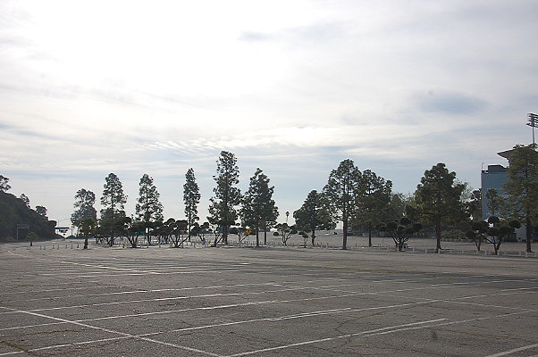 DSC 0032