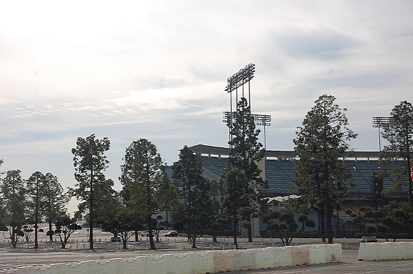 DSC 0047