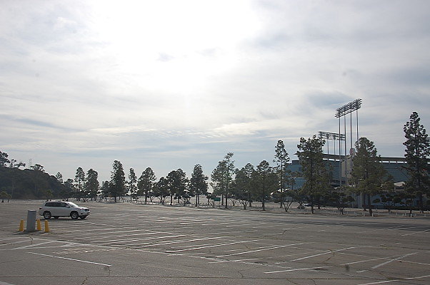 DSC 0041