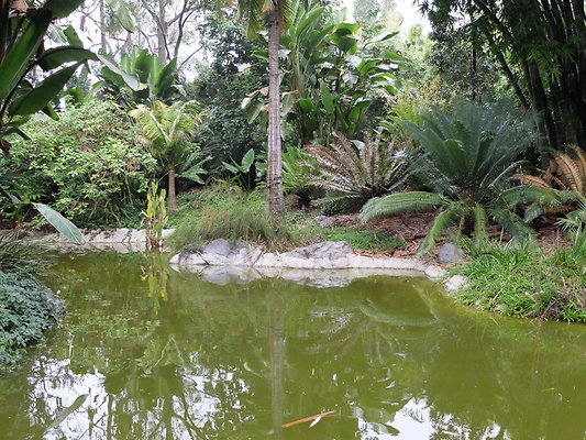 LA.Arboretum.Swamp.Forest.77