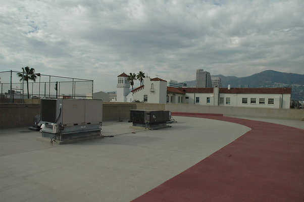 DSC 0061