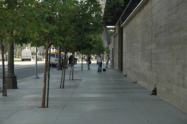DSC 0009