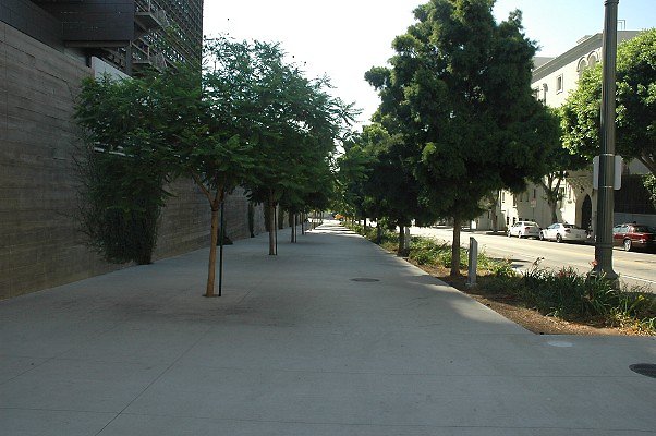 DSC 0001