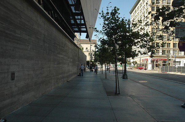DSC 0011