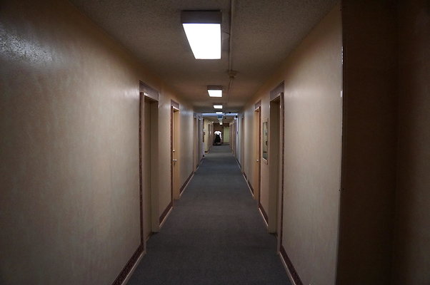 DSC08306
