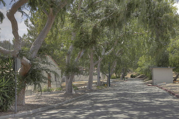 Roads 21