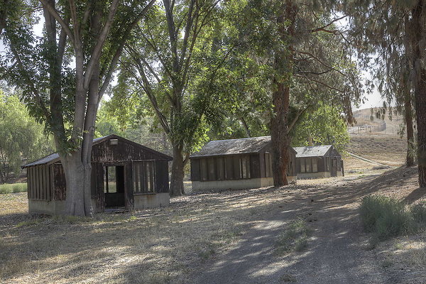 RusticCamp 13