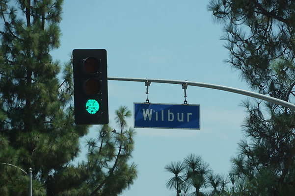 WIlbur. Rinaldi to Tampa