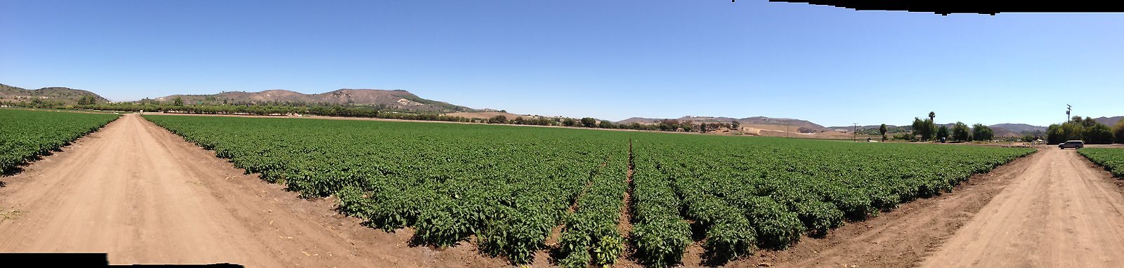 Underwood.Farms.Peppers.East.Pan