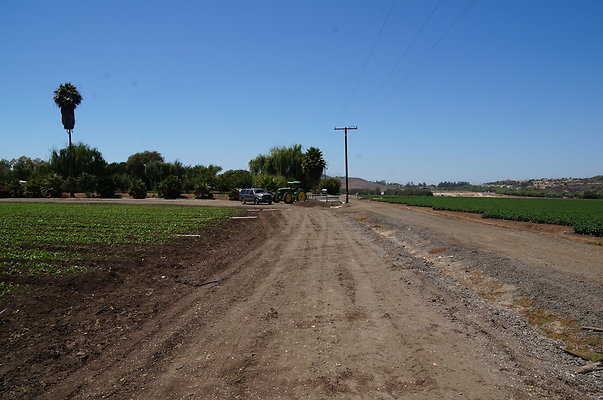 Underwood Farms.Parsley.Field.Road08 Underwood Farms.Parsley.Field.Road08