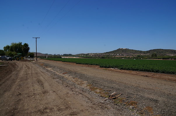 Underwood Farms.Parsley.Field.Road04 Underwood Farms.Parsley.Field.Road04